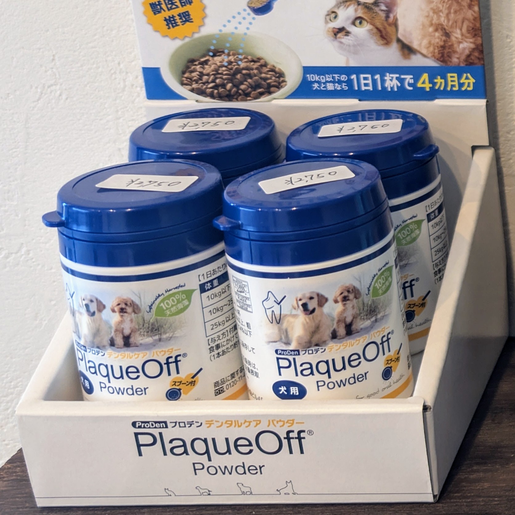 飼い主ができる口腔ケアのサポート