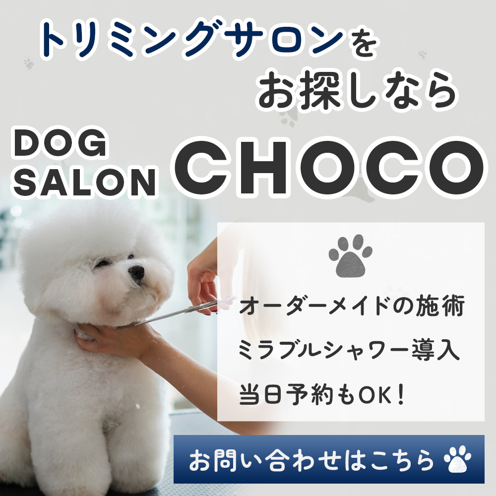 popup_banner (1)